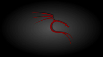 Kali Linux Background Wallpaper
