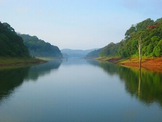 Nature Beauty Of Kerala Mobile Wallpaper