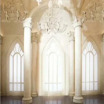 Amazon Generic White Photography Wedding Backdrop Light