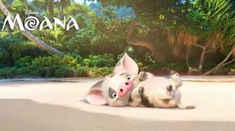 Moana Pua Widescreen Wallpaper