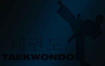 Martial Arts Computer Wallpaper Desktop Background Id