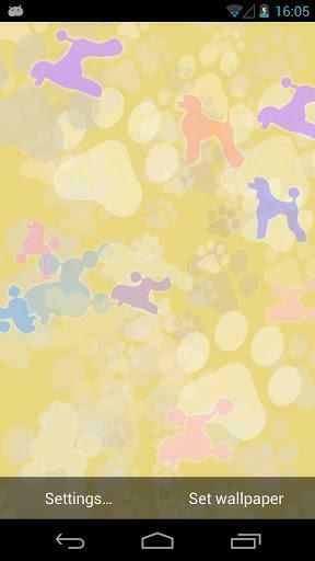 Bigger Cute Poodle Live Wallpaper For Android Screenshot