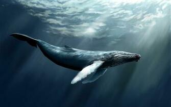 Water Whale Art
