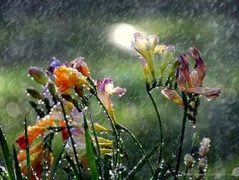 Beautiful Rain Wallpaper For Your