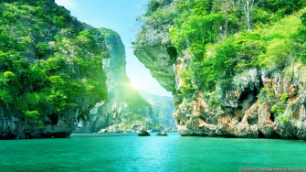 HD Nature Wallpaper