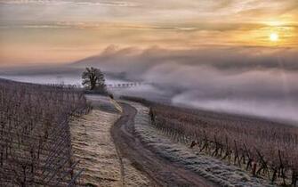 Alsace Wallpaper