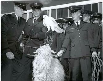 U S Air Force Academy On Throwbackthursday Anyone Have