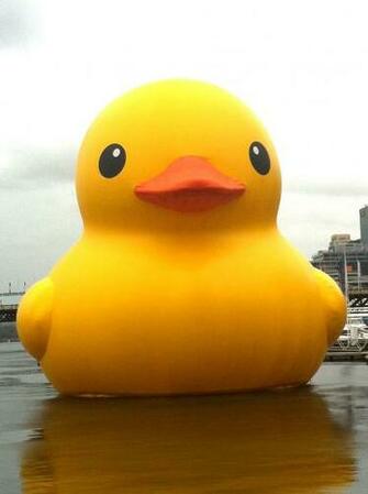 Photos Giant Rubber Duck