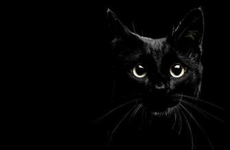 Black Cat HD Wallpaper Link