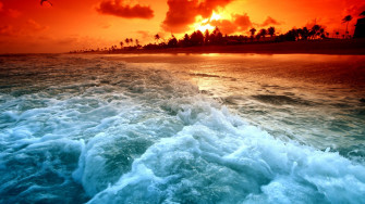 Beautiful Nature Wallpaper