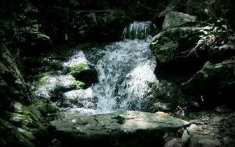 Appalachian Trail Spring By Unrestr1cted
