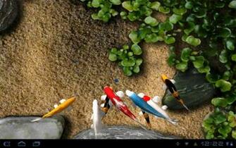 Koi Live Wallpaper Android Market
