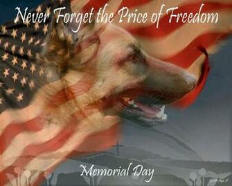 German Shepherd Wallpaper Wall Papers