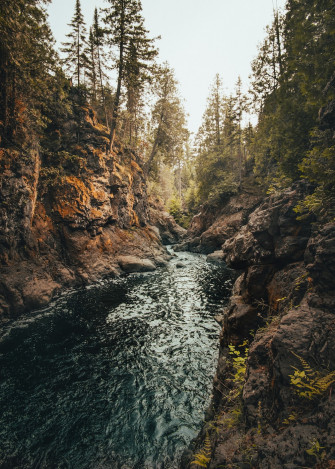 Green River Between Trees And Rock Formations Photo United