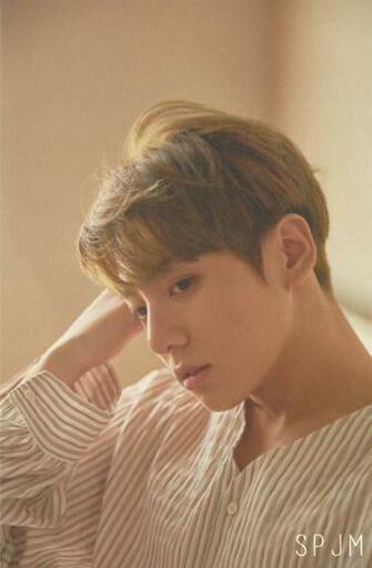 Bts Media Album L In Euphoria Jungkook