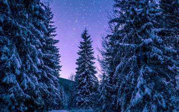 4k Winter Wallpaper For iPhone iPad Or Macbook