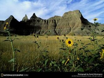 Of The Day Picture Photography Wallpaper National Geographic
