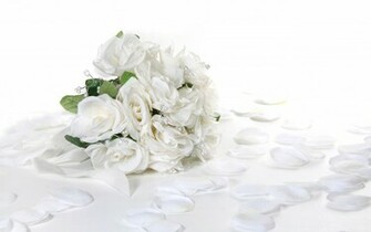 White Rose Wallpaper HD Background