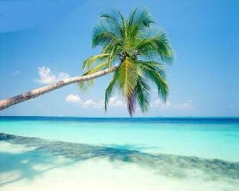 Tropical Beach Wallpaper Desktop