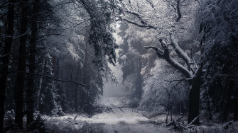 Nature Winter HD Wallpaper