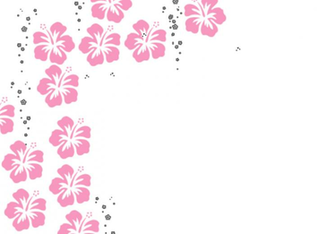 Hibiscus Wallpaper Background