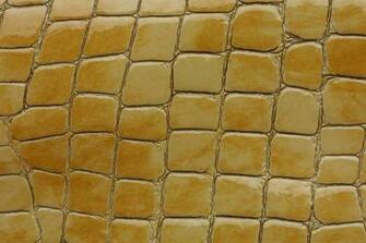 Amazing Snake Skin Wallpaper Patterns