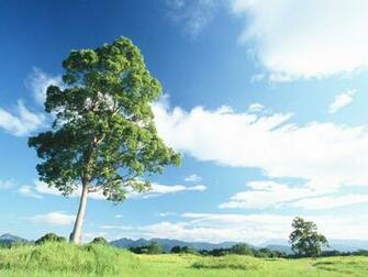Relaxing Desktop Background