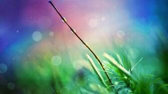 HD Nature Wallpaper For Windows
