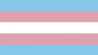 Transgender Pride Flag Flies At Boston City Hall Human