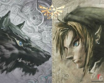 Zelda Twilight Princess Gallery At Freakygaming