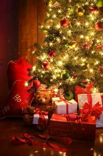 Teddy Christmas Tree iPhone Wallpaper And 4s