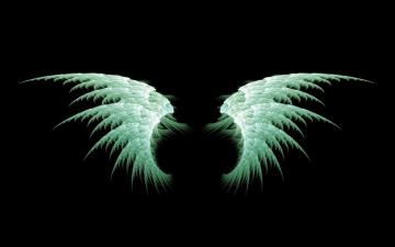 Anime Angel Wings HD Image Net