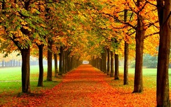 Url Mi9 Autumn Wallpaper Colors Html