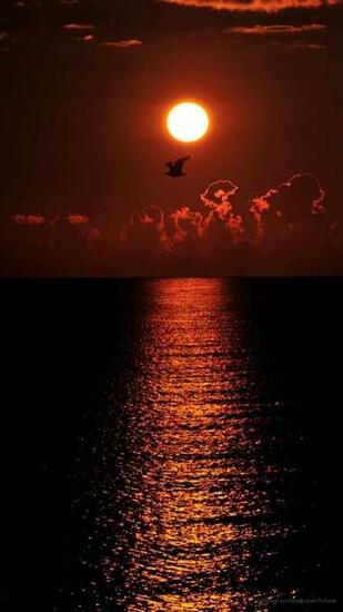 Papel De Parede Praia Full HD 1080p