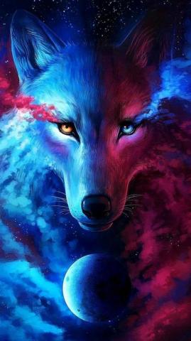 Blue Fox Wallpaper On