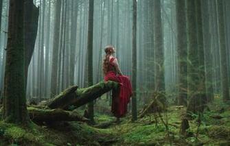 Wallpaper Forest Girl Sitting Red Dress Image For Desktop