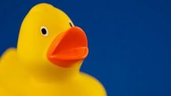 Rubber Ducky Wallpaper