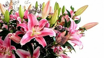 Nice Flower Bouquet Desktop Pc And Mac Wallpaper