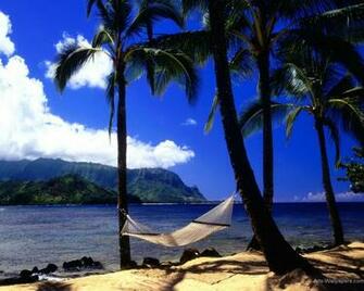 Paradise Wallpaper Art Print Poster Tropical