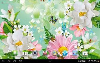 Live Butterfly Wallpaper Beautiful Desktop