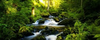 Home Panoramic Wallpaper
