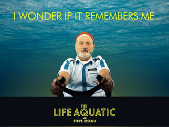 Steve Zissou Wallpaper By Thesimq