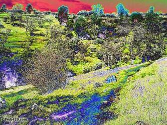 Psychedelic Nature Category Wallpaper Image