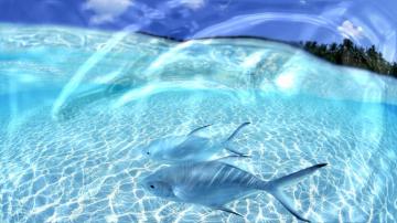 Background Live Wallpaper For Pc Group