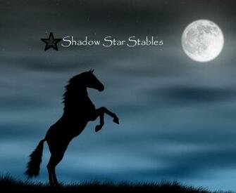 Shadow Star Stable Icon Thingy By Horsecrazy311