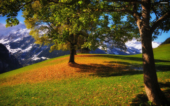 Early Fall Desktop Wallpaper