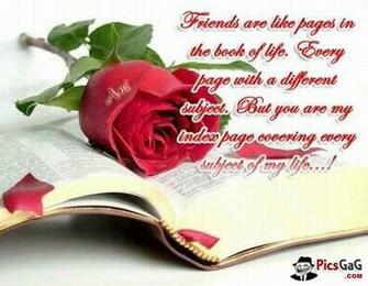 You Are My Best Friend Wallpaper Friendship