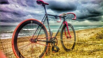 Pinky Fixie Thefixedgearworld
