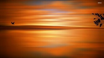 Bird Silhouette In The Orange Sunset Wallpaper