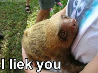 Sloth Meh Ro